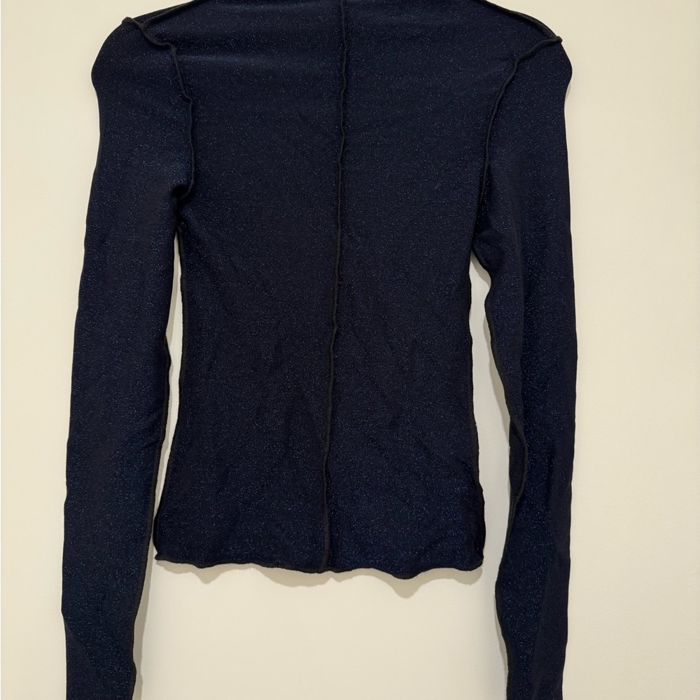NWT Pistola shimmer turtle neck top
